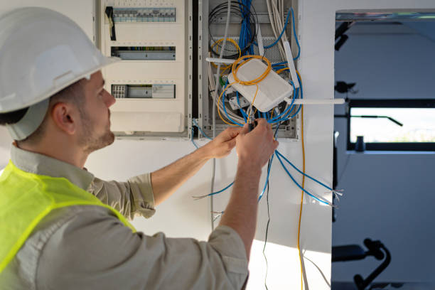 Best Ceiling Fan Installation Electrician  in Lapeer, MI